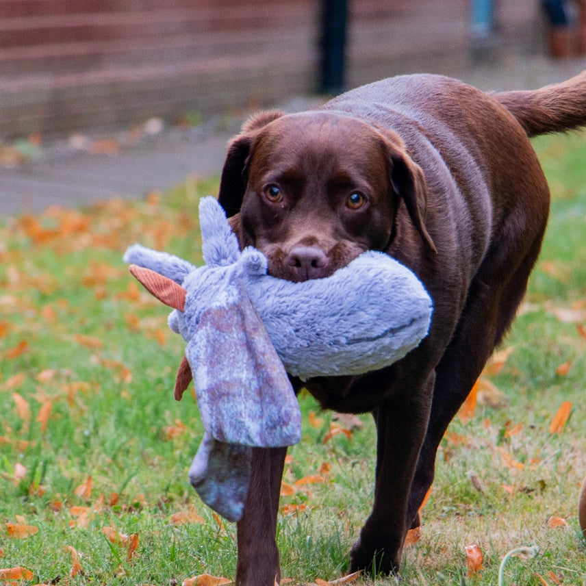 Ancol Cuddle Fluffy Moths