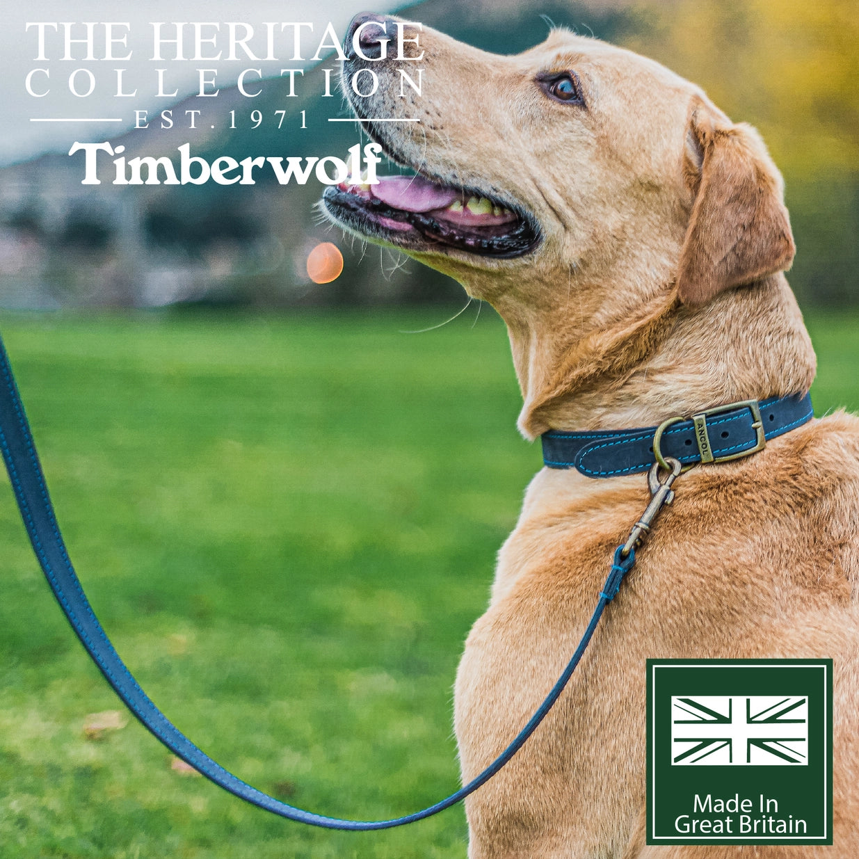 Timberwolf Leather Lead 1mx1.9cm - Blue