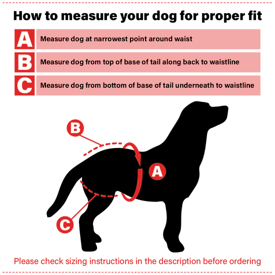 Simple Solution Washable Diaper XLarge