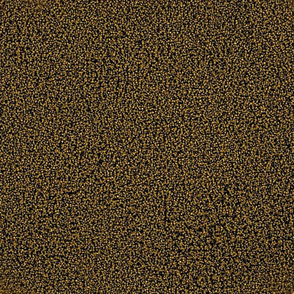Tropical Pro Defence Fish Food - Size XXS 70g