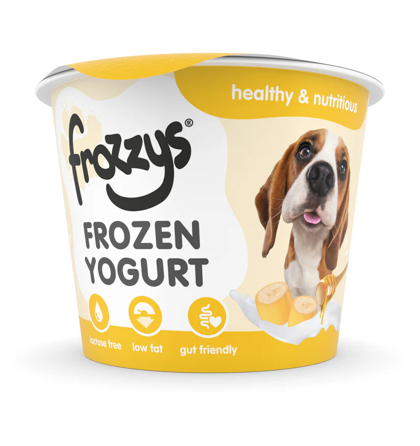 Frozzys Banana and Honey Frozen Yogurt 85g