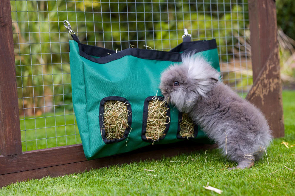 House of Paws Green Hay Bag Feeder - Large