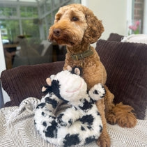 Ancol Cuddle Super Long Cow