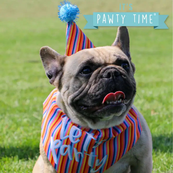 Ancol Birthday Hat & Bandana - Stripes