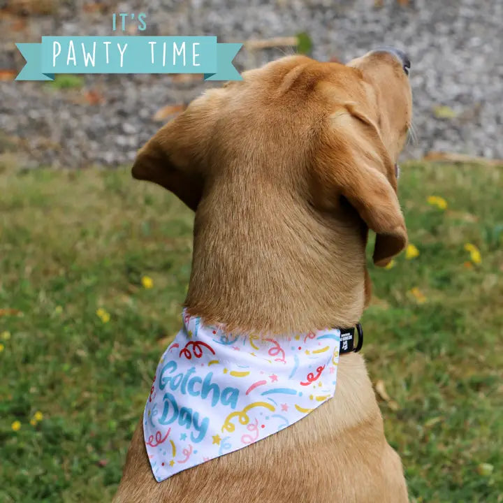 Ancol Gotcha Day Bandana - Large