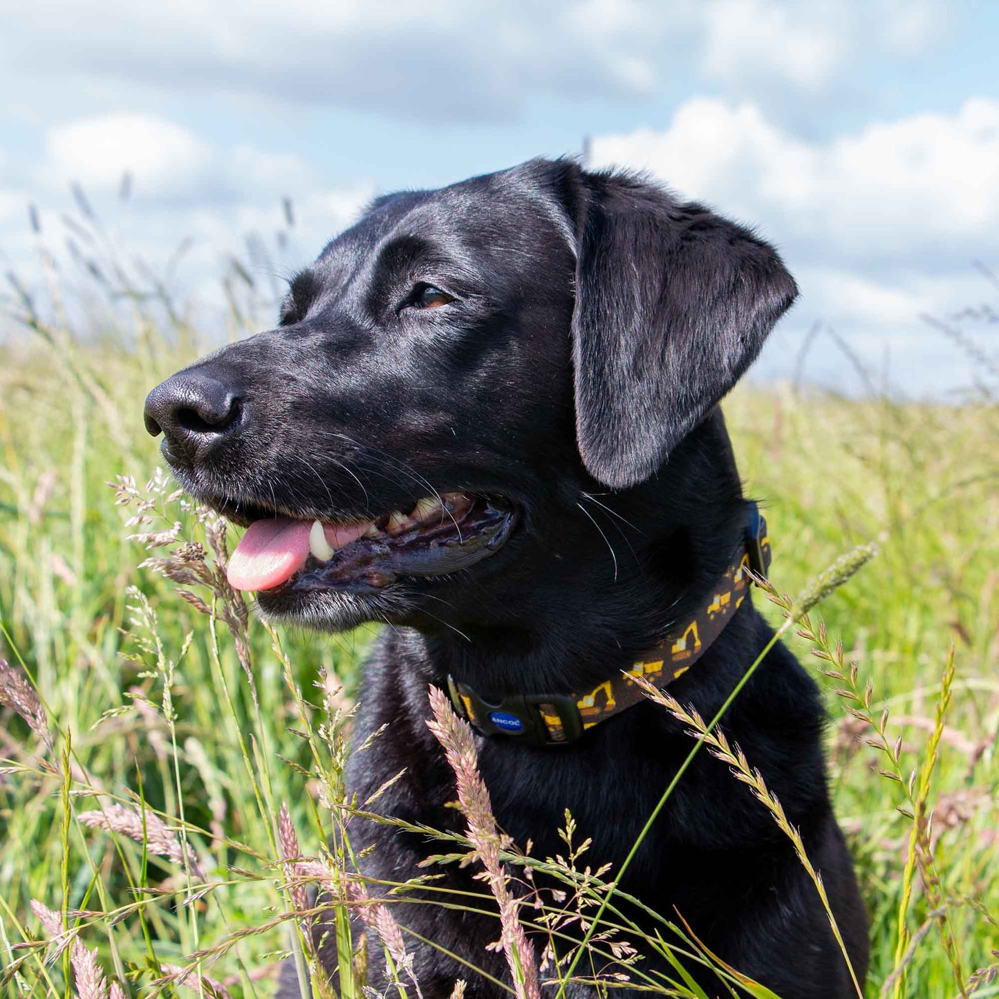 Ancol Digger Patterned Collar
