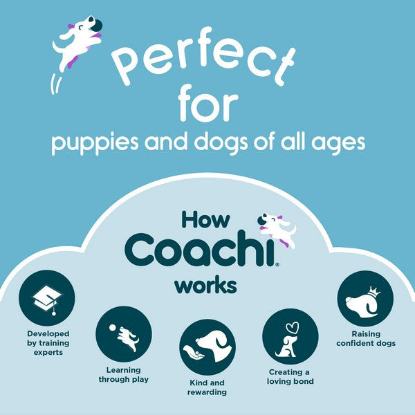Company of Animals Coachi Play Tuggi Tug