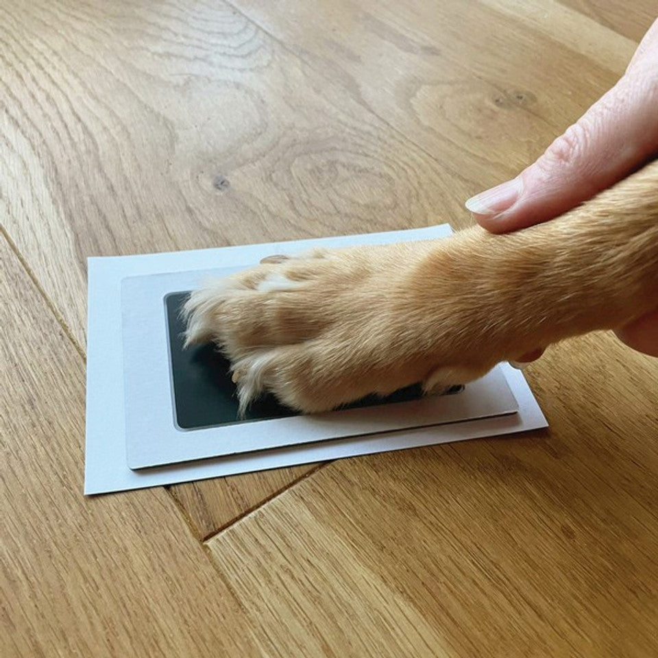 Oh So Precious Paw Print Ink