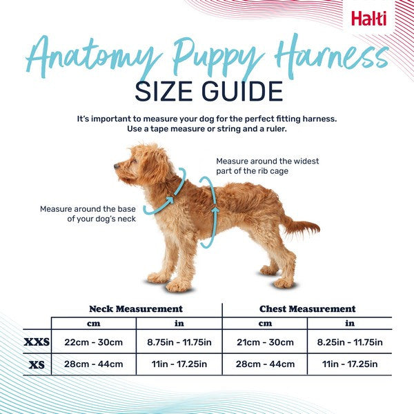 Company of Animals Halti Anatomy Harness Puppy Grey