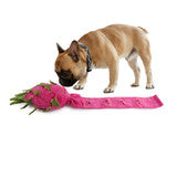 All For Paws Dig It Dragon Fruit Puzzle Toy