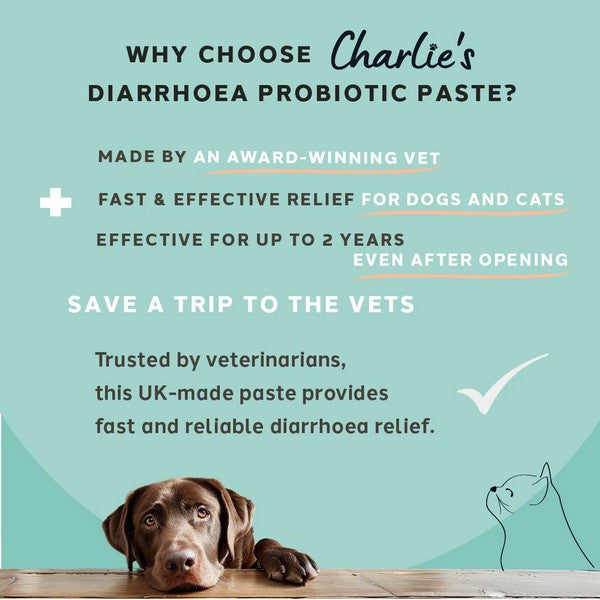 Charlie The Vet Diarrhoea Care Probiotic Paste 15m