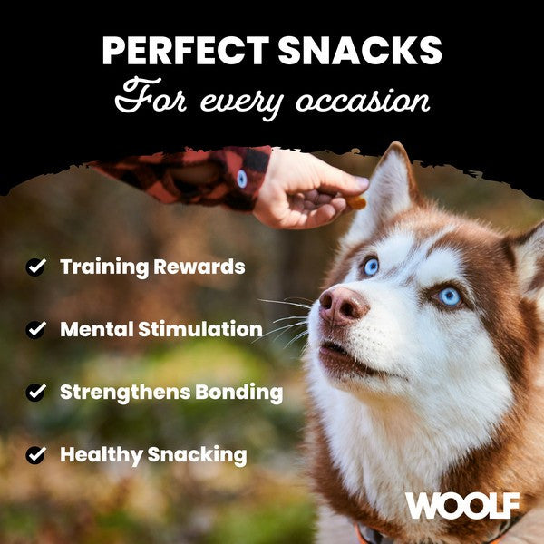 Woolf Rabbit Chunkies 100g