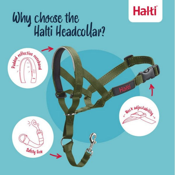 Company of Animals Halti Headcollar Forest Green