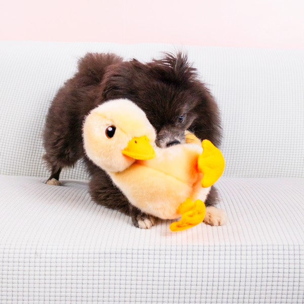 KONG Toughz Duck Medium