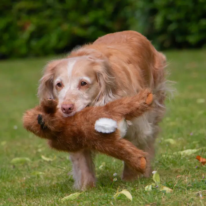 Ancol Heritage Tartan Hare Toy