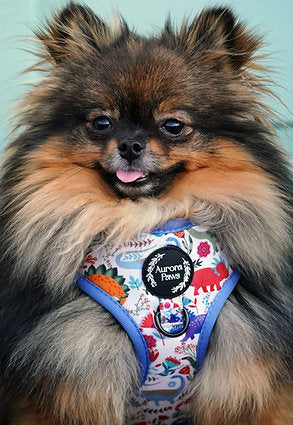 Aurora Paws Scales & Tails Harness