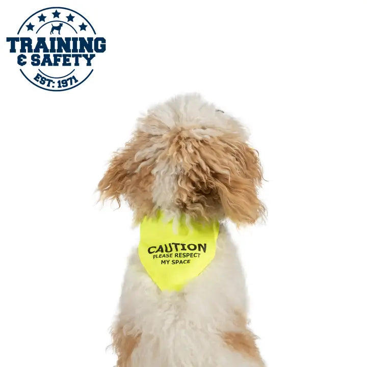 Ancol Dog Hi Vis Warning Bandana S/M