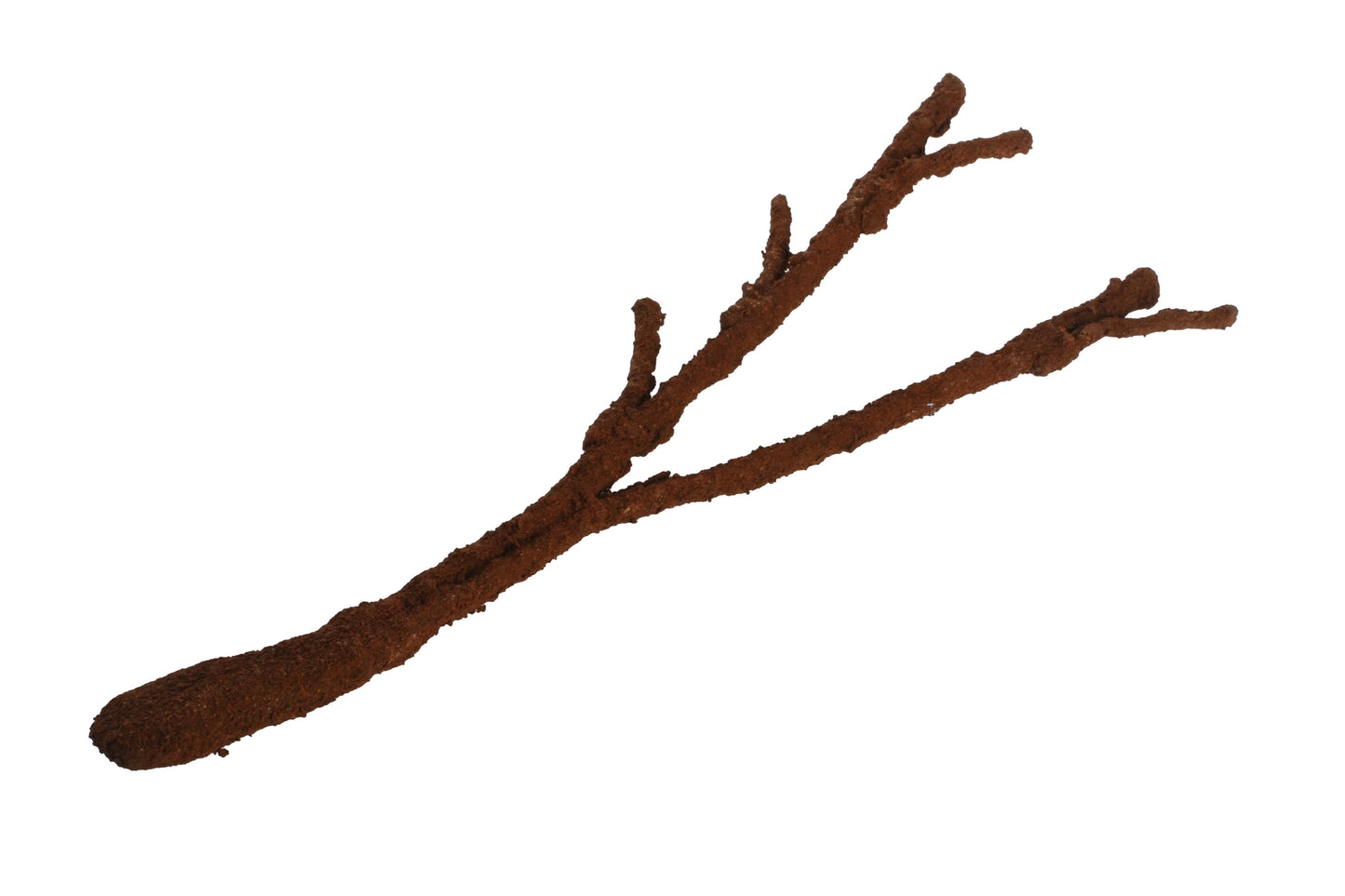 Komodo Tropical Vine Branch - Large