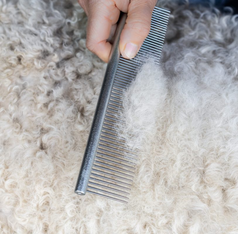 Mikki Doodles Metal Comb