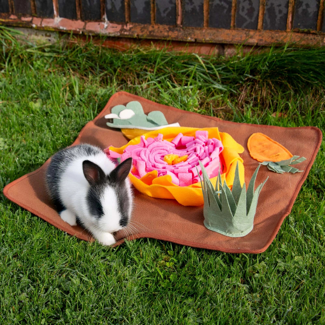 Ancol Small Animal Veg Patch Snuffle Mat