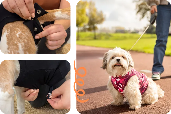 Suitical Recovery Suit Dog Body
