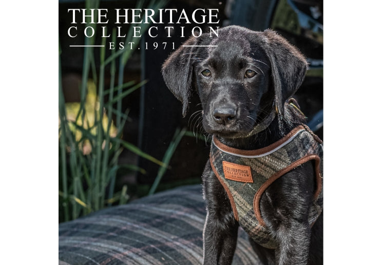 Ancol Country Check Step In Harness