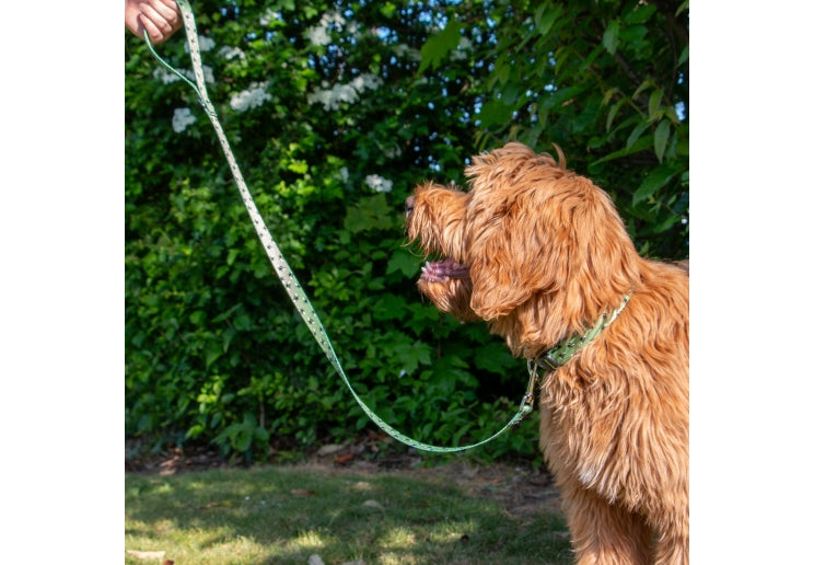 Ancol Bee Patterned Lead 1m