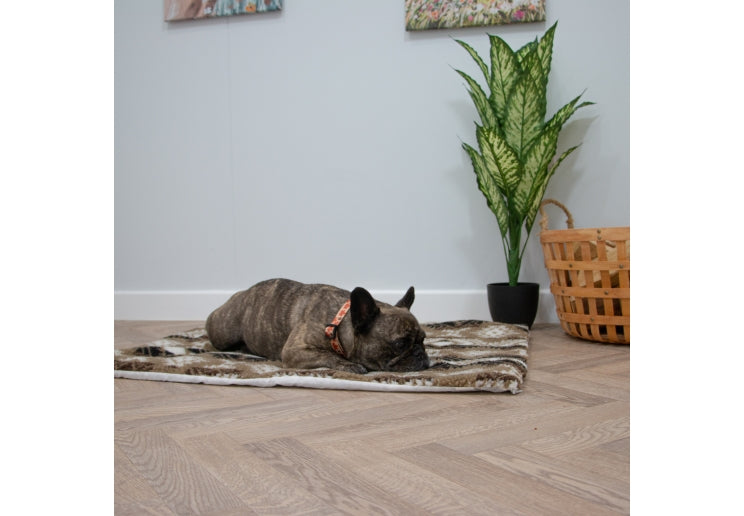 Ancol Sleepy Paws Self Heating Pad Aztec