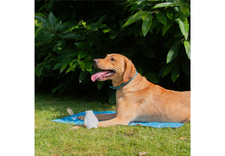 Ancol Ice Paws Cooling Toy - Olwen Ice B