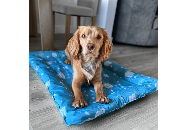 Ancol Cooling Bed Small 56cm x 66cm