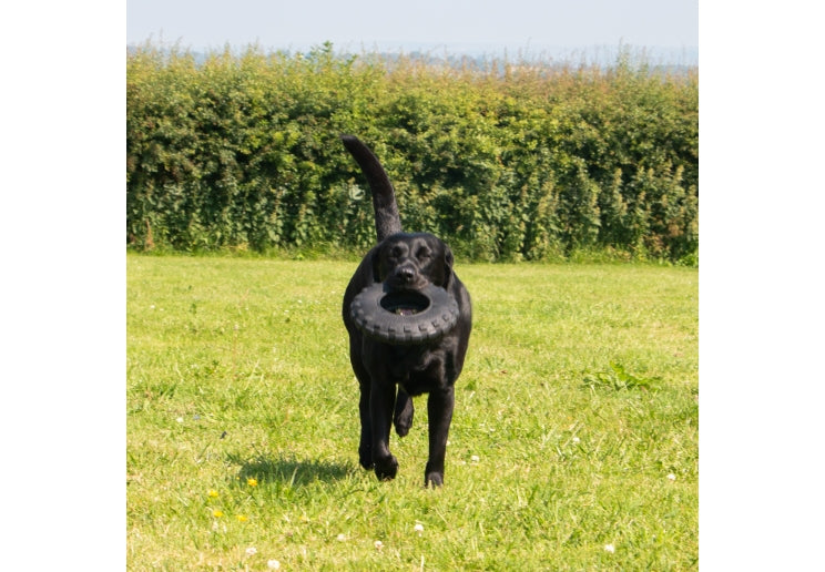 Ancol Extreme Black Tyre