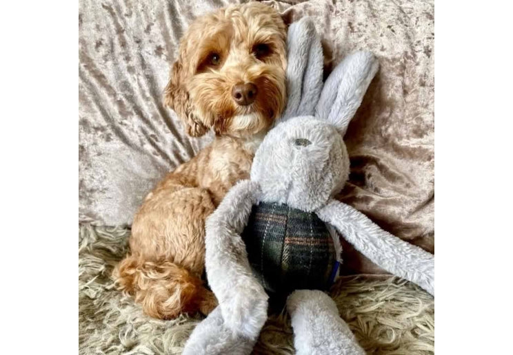 Ancol Heritage Floppy Bunny Toy