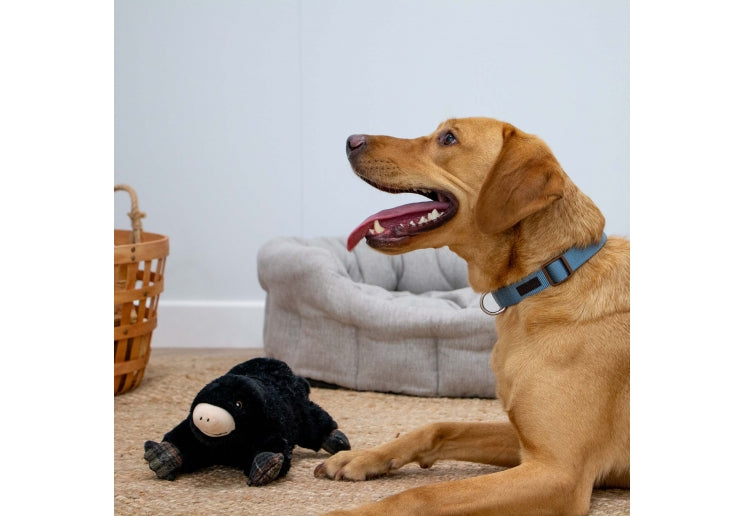 Ancol Heritage Montgomery Mole Toy