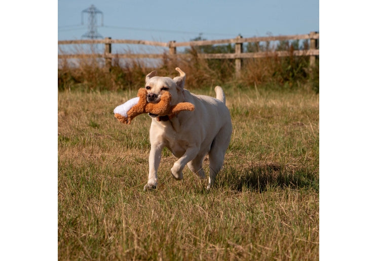 Ancol Heritage Midi Walter Weasel Toy