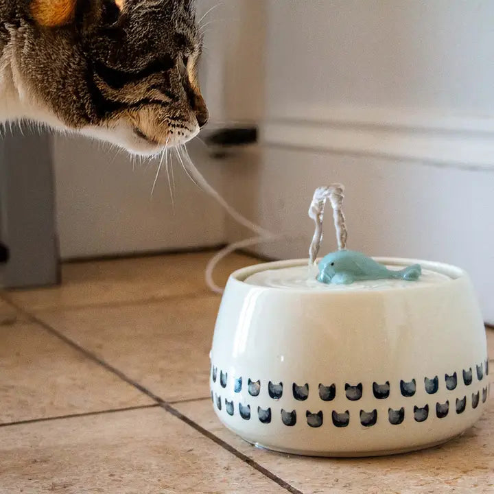 Ancol Whale Cat Water Fountain