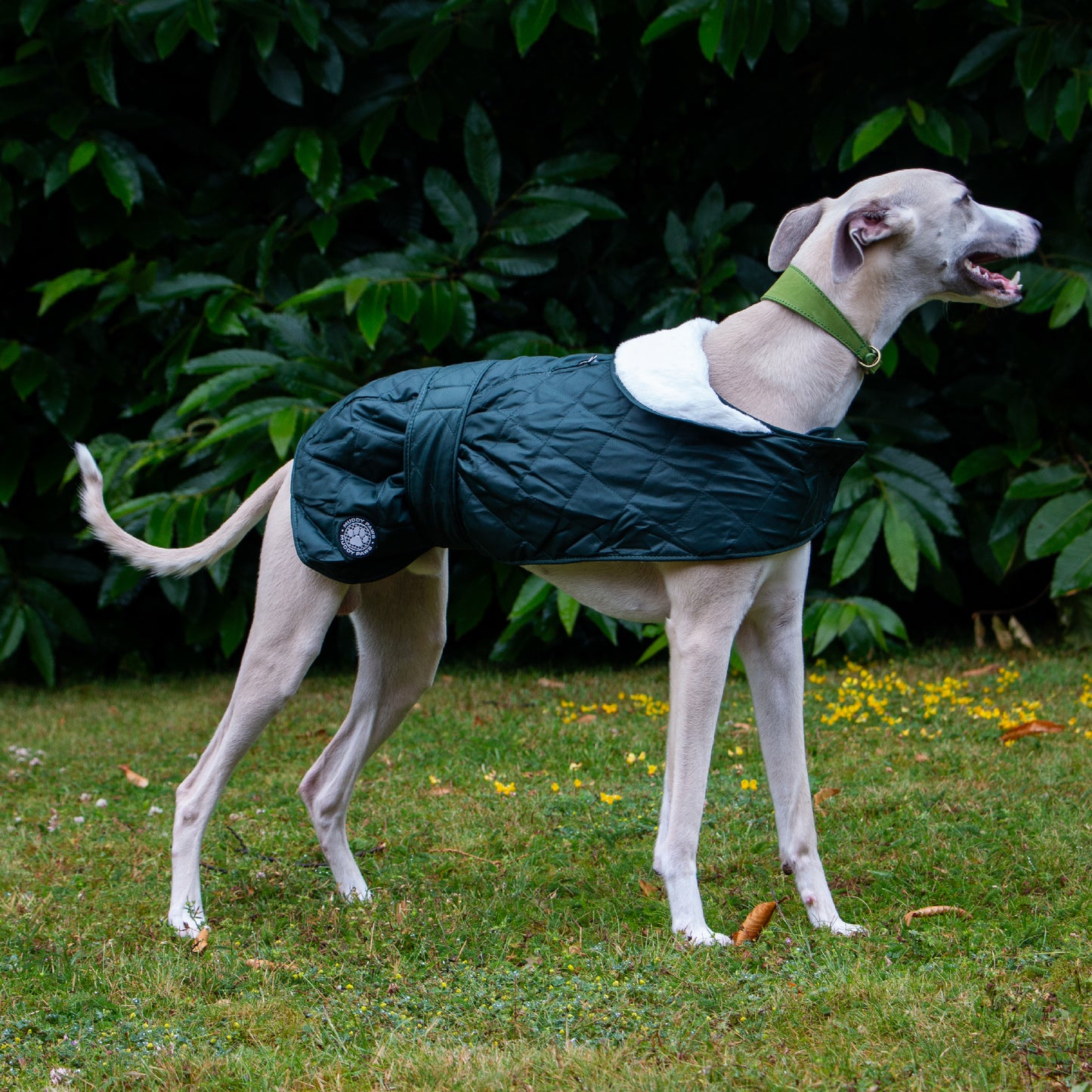 Ancol Heritage Quilted Hound Coat