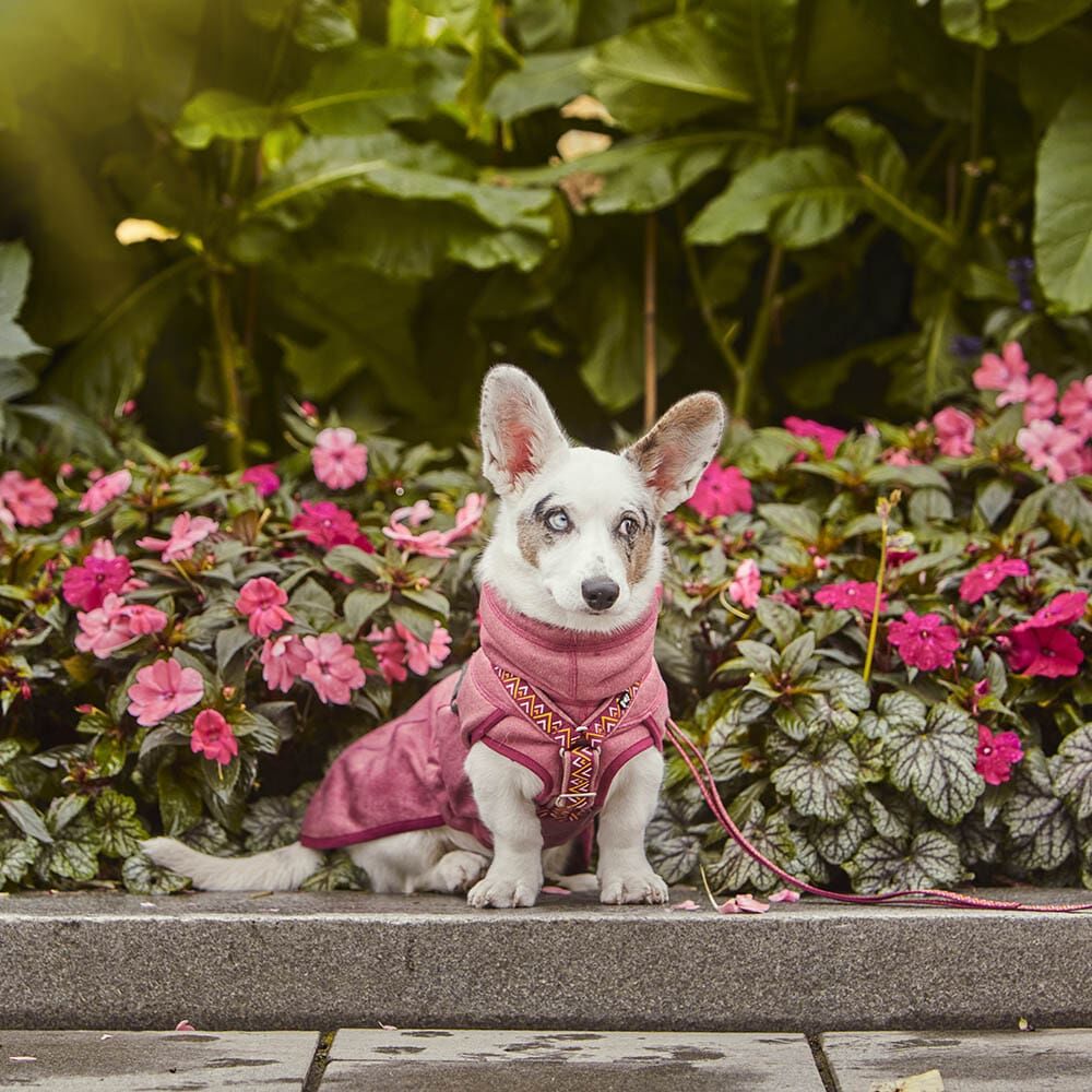 Hurtta Razzle-Dazzle Midlayer Beetroot