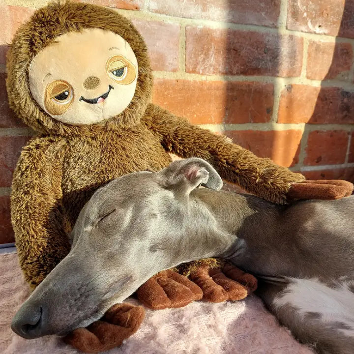 Ancol Cuddle Sleepy Sloth Toy