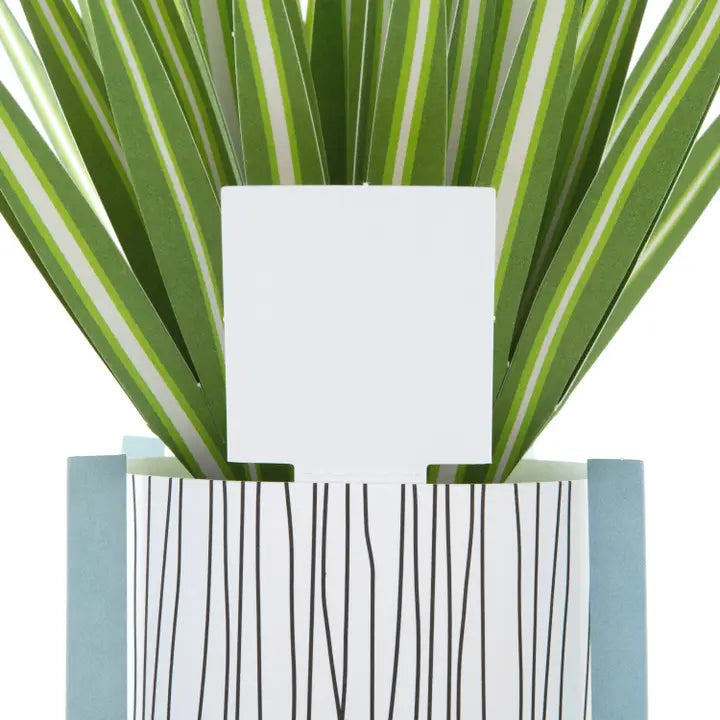 Hallmark Paper Wonder Pop-up Plant Card - Spider Plant