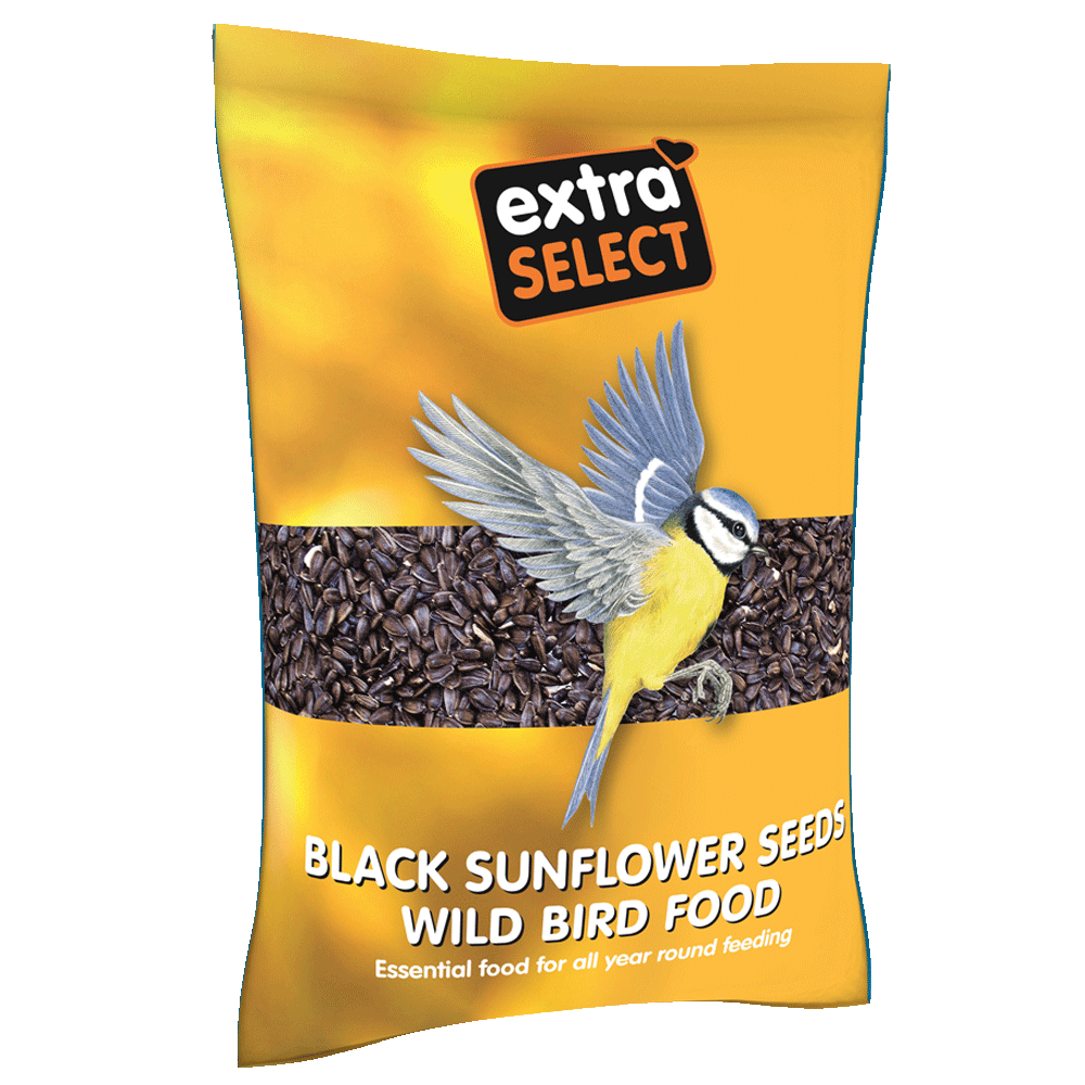 Extra Select Black Sunflower Seed 1kg