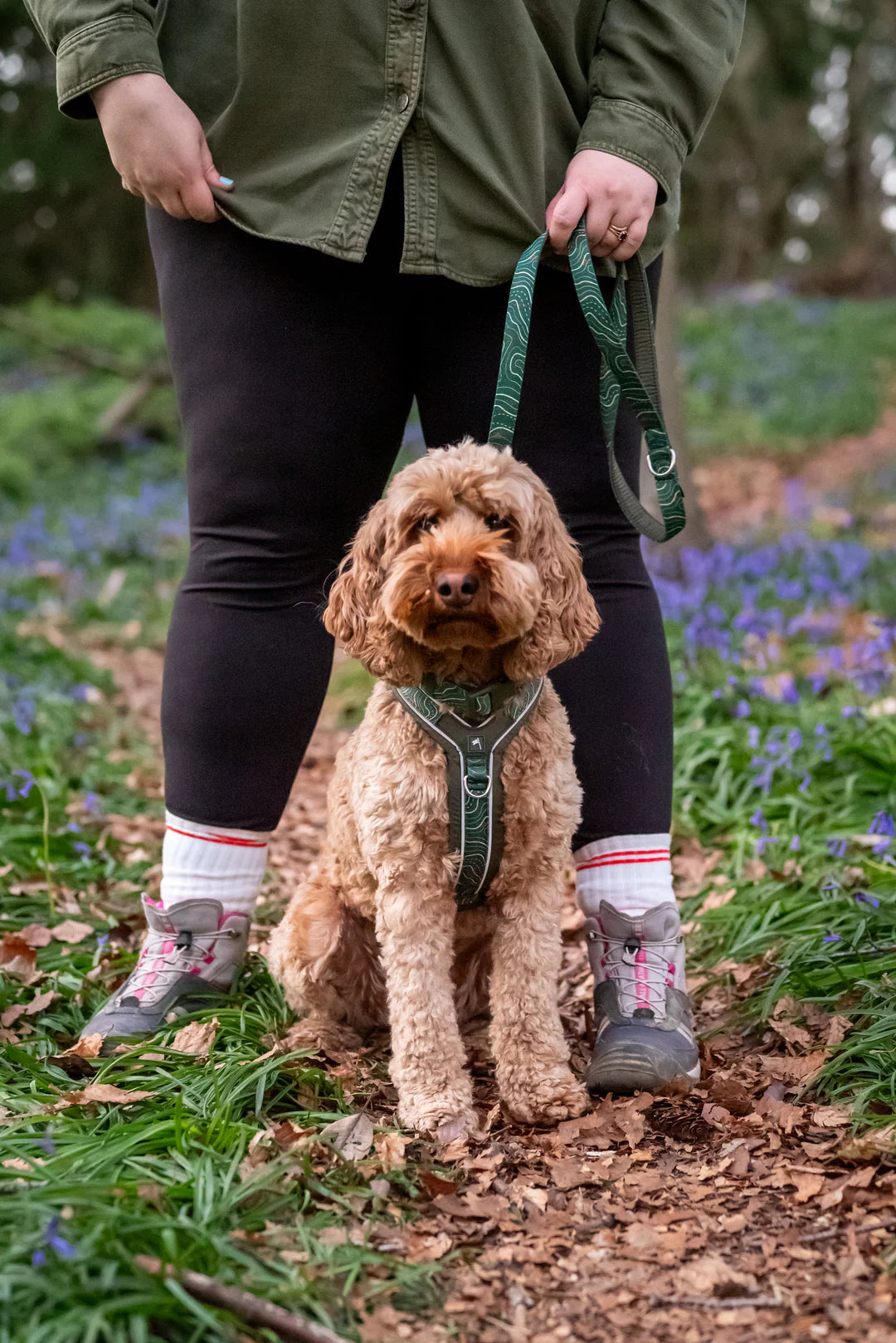 Twiggy Tags Apex Lead 1.2m - Nomad