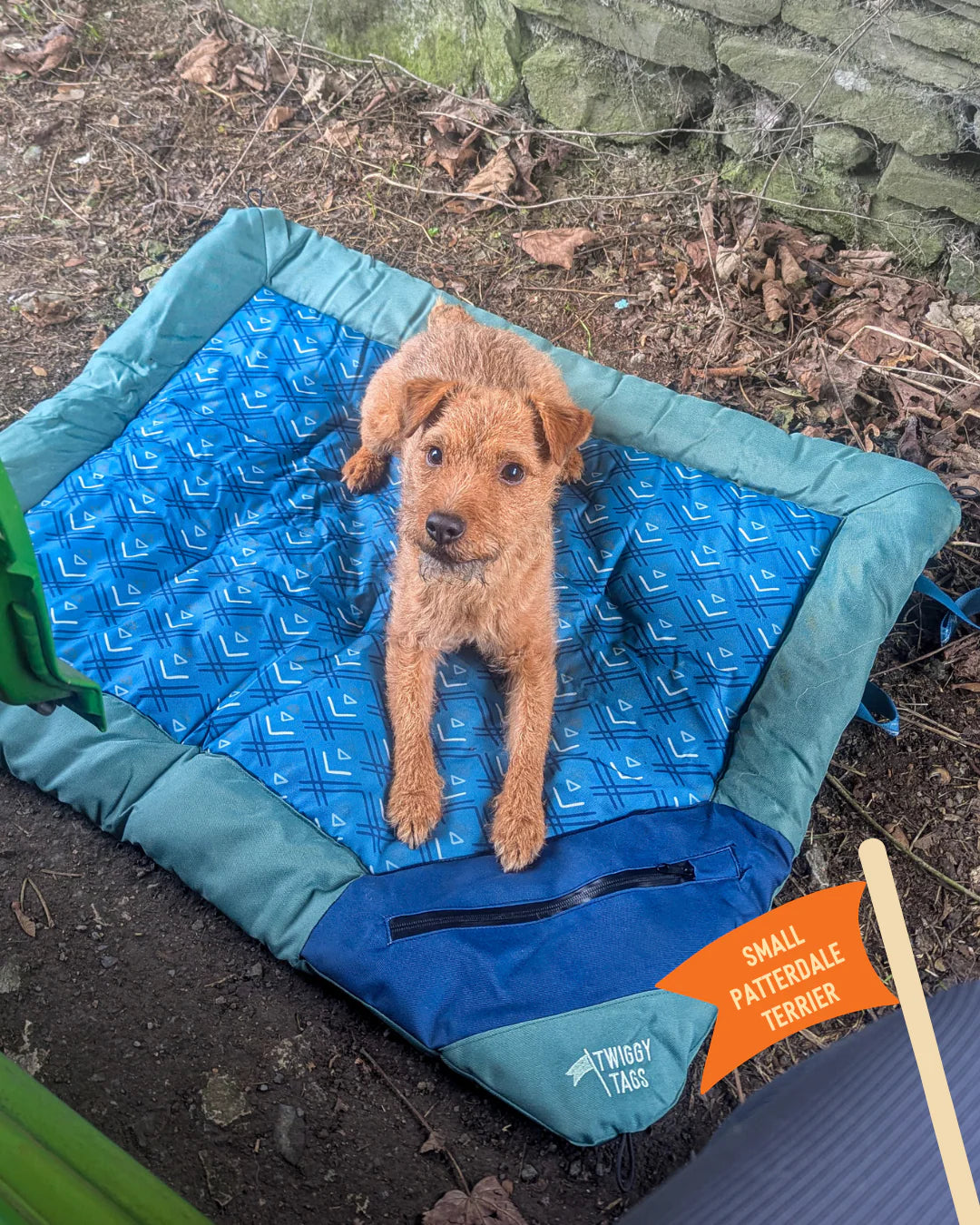 Twiggy Tags Crosslander Atlantis Travel