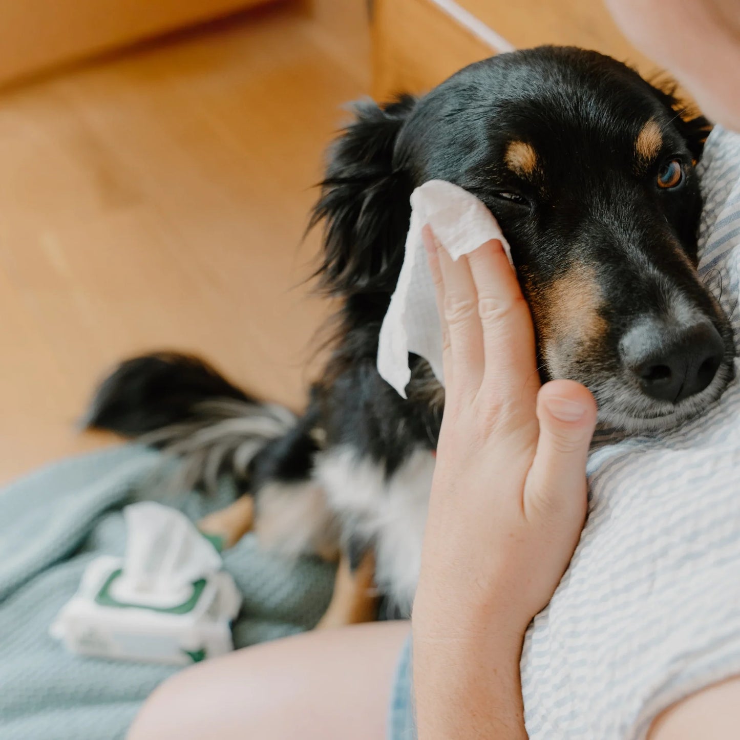 Beco Bamboo Dog Wipes - Eye Wipes