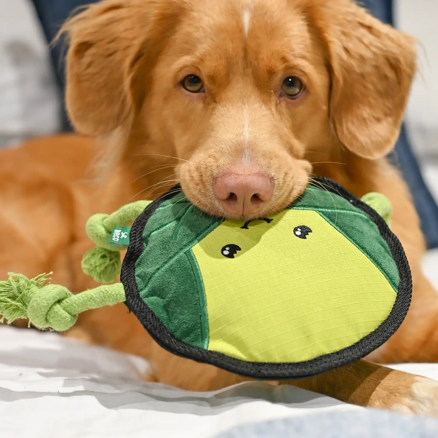 Beco Cute & Cuddly Russell the Brussel Sprout