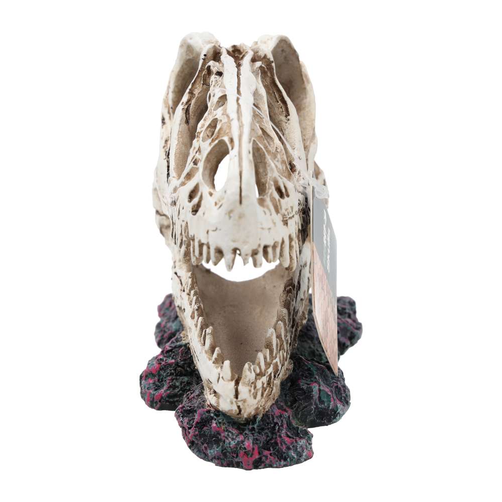 ProRep Allosaurus Skull