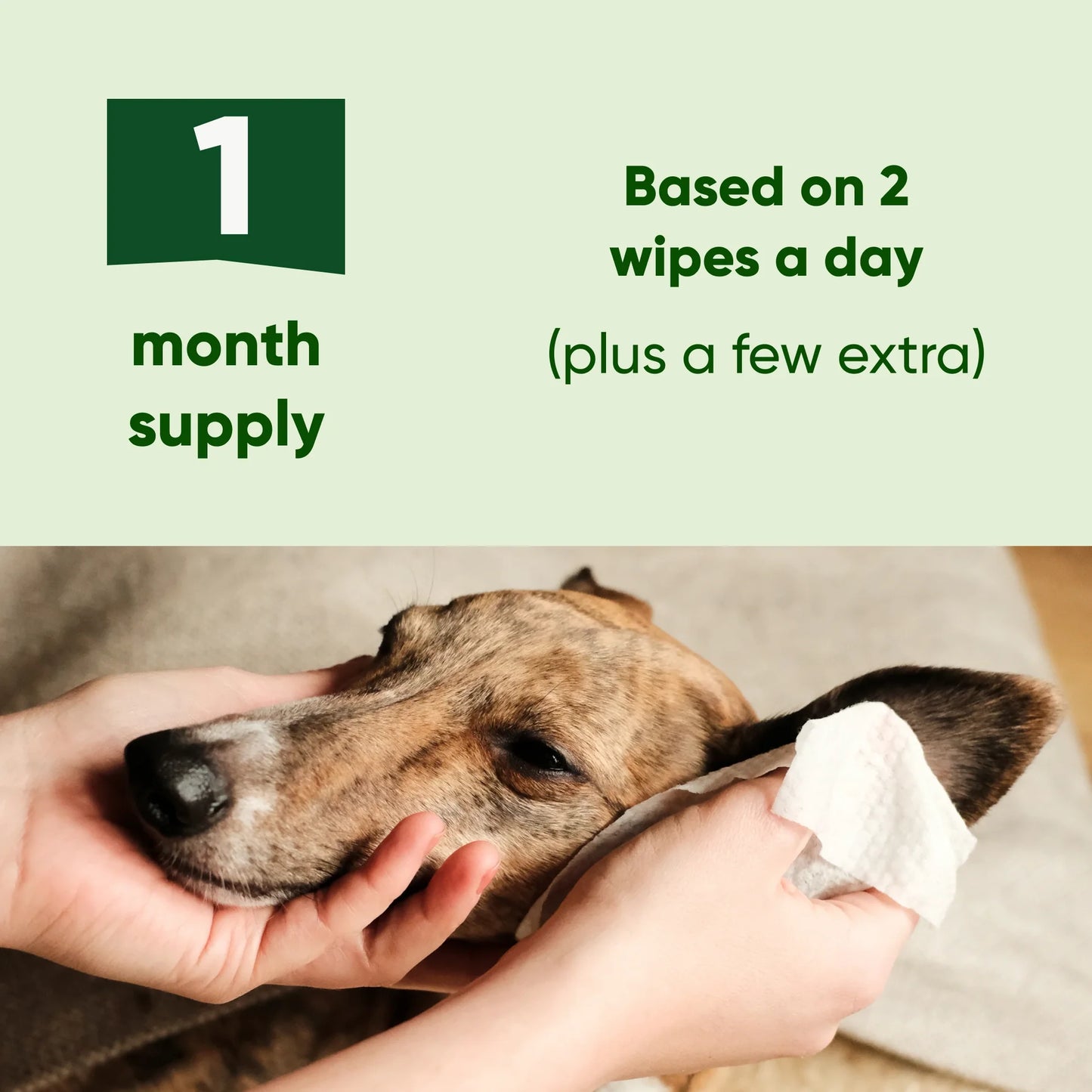 Beco Bamboo Dog Wipes - Ear Wipes