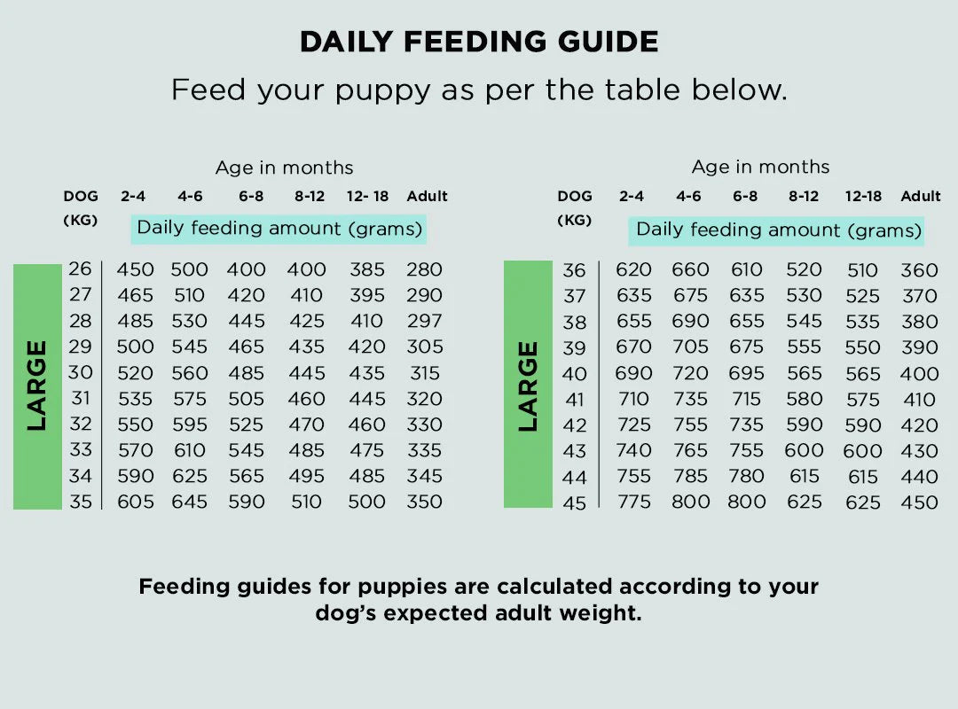 Innocent Hound Wild Salmon Fishcakes 1.5kg