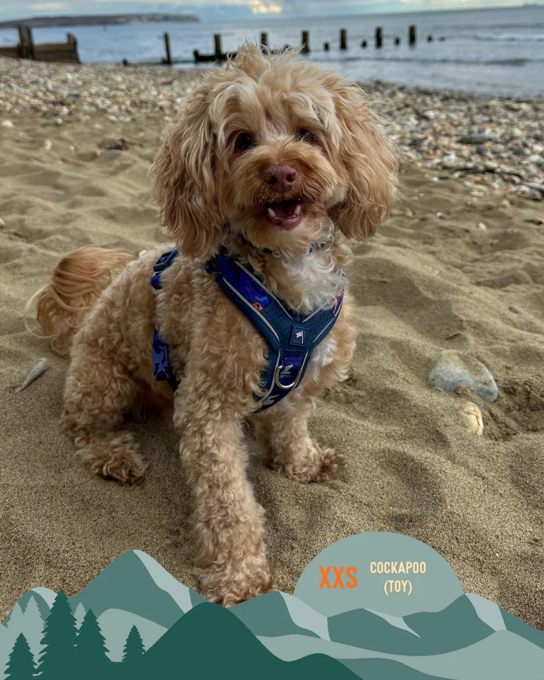 Twiggy Tags Apex Harness - Nebula