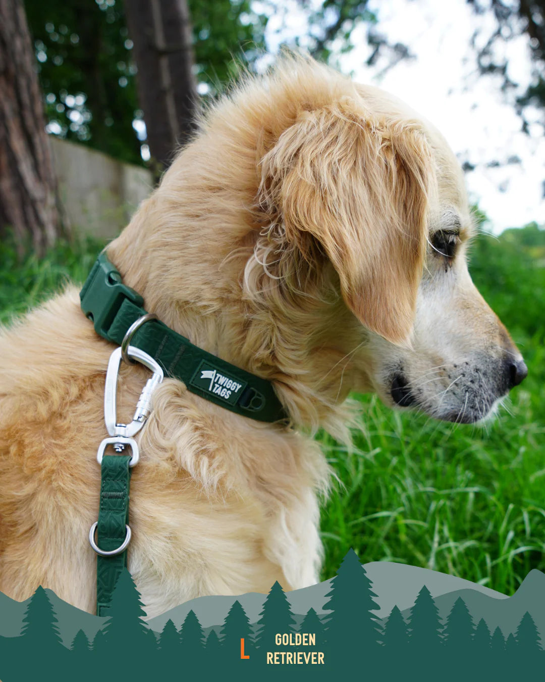 Twiggy Tags Tidal Collar - Fern