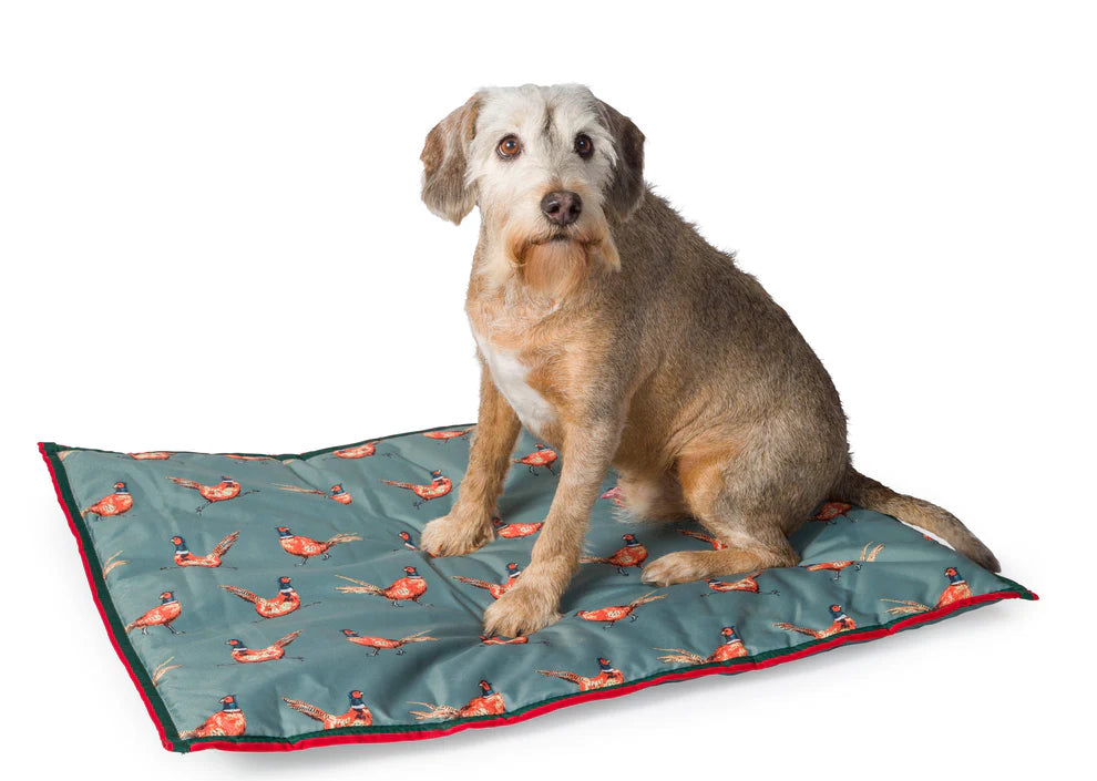 House of Paws Green Pheasant Boot Mat - S/M